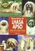 LHASA APSO, EL
