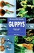 GUPPYS