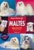 MALTES