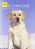 LABRADOR, EL