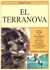 TERRANOVA, EL