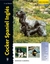 COCKER SPANIEL INGLES