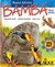BAMBA/5/2004 NVA.ED. AIQ