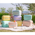 CONSERVADORA POLARBOX 20 LTS - comprar online