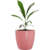 MACETA REDONDA PREMIUM N18 - comprar online