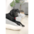 PUPPY BED TUSOR - comprar online