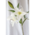 VARA LILIUM - comprar online