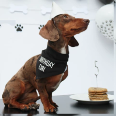 PARTY BOX | WOOF