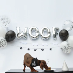 PARTY BOX | WOOF en internet