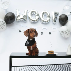 PARTY BOX | WOOF - wearemart