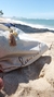 Ecobag Leeom na internet