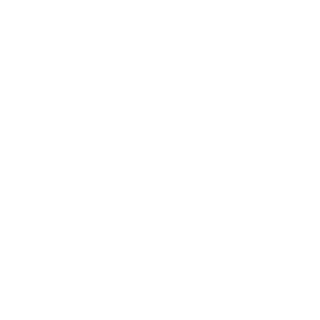 Leeom Movement