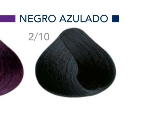 Tinte Opción #2,10 Moreno azulado