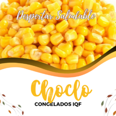 Granos de choclo (IQF) x 250 gr - comprar online