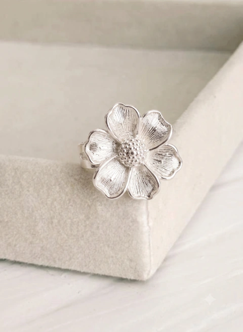 ANILLO FLA SILVER