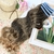 MEGA HAIR ADESIVO CABELO BIO VEGETAL LEVE ONDAS LOIRO MEL 65/70/75 CM - 4 TIRAS