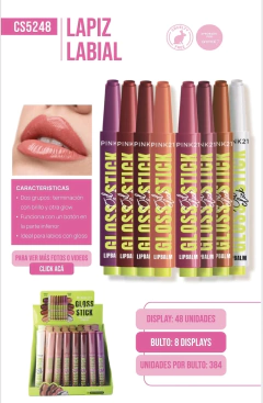LAPIZ LABIAL PINK21 CS5248