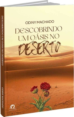 Descobrindo um Oásis no Deserto