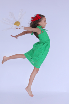 Vestido Laise Verde - comprar online