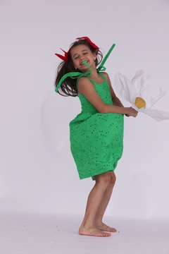 Vestido Laise Verde