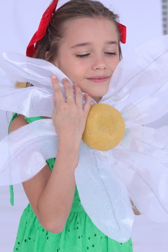 Vestido Laise Verde - Charlou