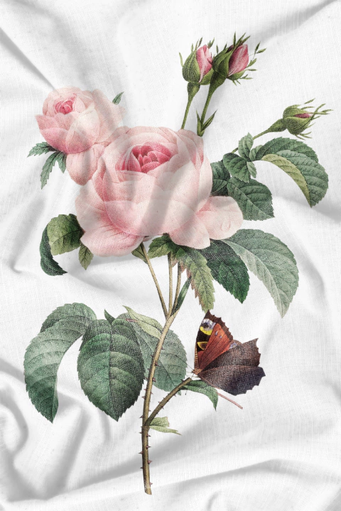 Paño de Cocina colección "Rosas"