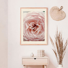 Cuadro Heritage rose