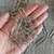 CLIPS 4/0 C/50 UNIDADES JUSSARA