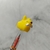 LAPISEIRA TROCA PONTA PETS 91911 LEO E LEO na internet