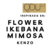QDU12 Inspirado en Flower Ikebana Mimosa de Kenzo - comprar en línea