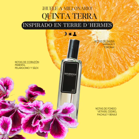 Quinta Terra Inspirado en Terré d´ Hermés - comprar en línea