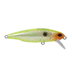 ISCA BAY HUNTER 70 na internet