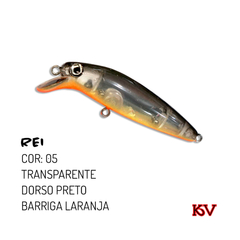 ISCA KV REI na internet