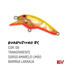 ISCA KV GUARUZINHO BC - Casa do Pescador Curitiba