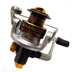 MOLINETE CANARIO na internet