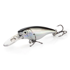 ISCA BICUDINHA - Casa do Pescador Curitiba