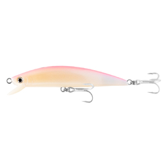 ISCA BORA 14CM - comprar online