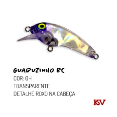 ISCA KV GUARUZINHO BC - comprar online