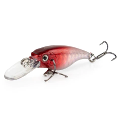 ISCA BICUDINHA na internet