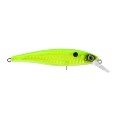 ISCA SAVAGE 65 - Casa do Pescador Curitiba