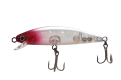 ISCA BORA 7,5CM - loja online