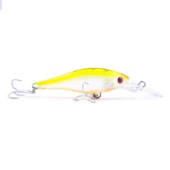 ISCA MAGO 60 - Casa do Pescador Curitiba