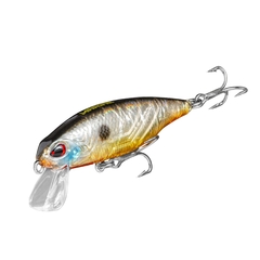 ISCA BAY HUNTER 70