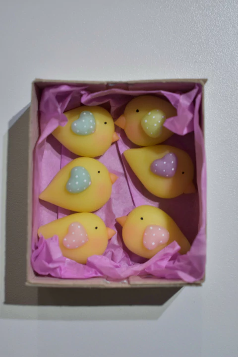 Apliques de Pajaritos