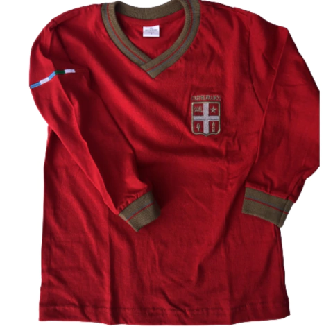 Remera básica m/larga