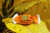 BALA DE BANANA TRADICIONAL 500G - comprar online