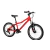Bicicleta Wild Xs 7 Marchas Aro 20 Vermelho com Suspensão 2025 - comprar online