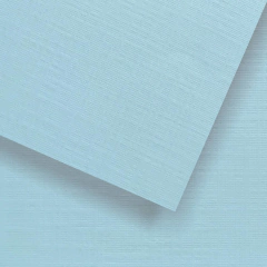 Duocolor Canvas - 02 - Celeste pastel