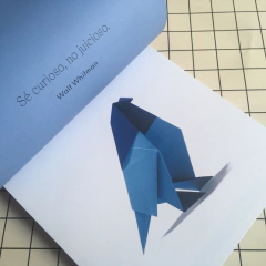 Origami Para Desplegar Tu Mente - comprar online