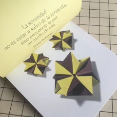 Origami Para Desplegar Tu Mente en internet